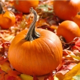 Bundeva za dijabetes: koristi i štete, da li je moguće jesti